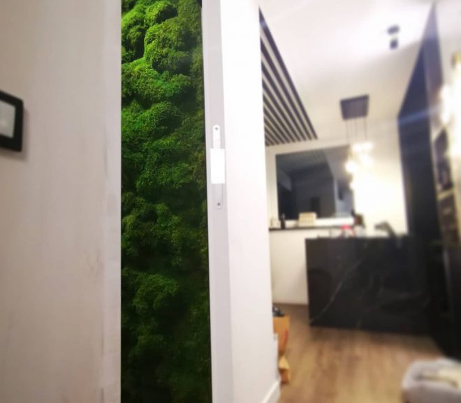 Zielona ściana w łazience.