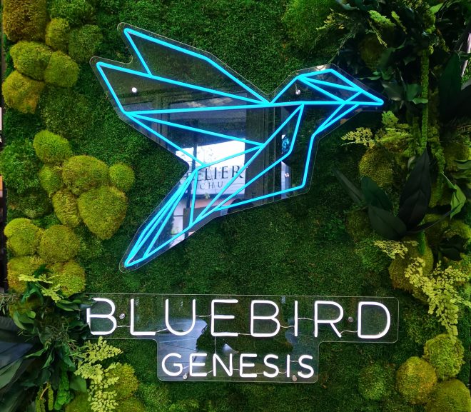 BLUEBIRD GENESIS